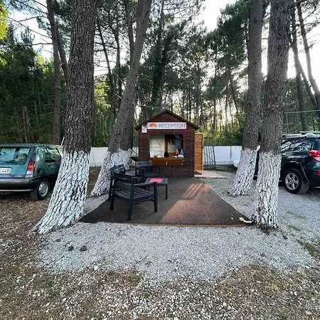 Tufi Velipoje